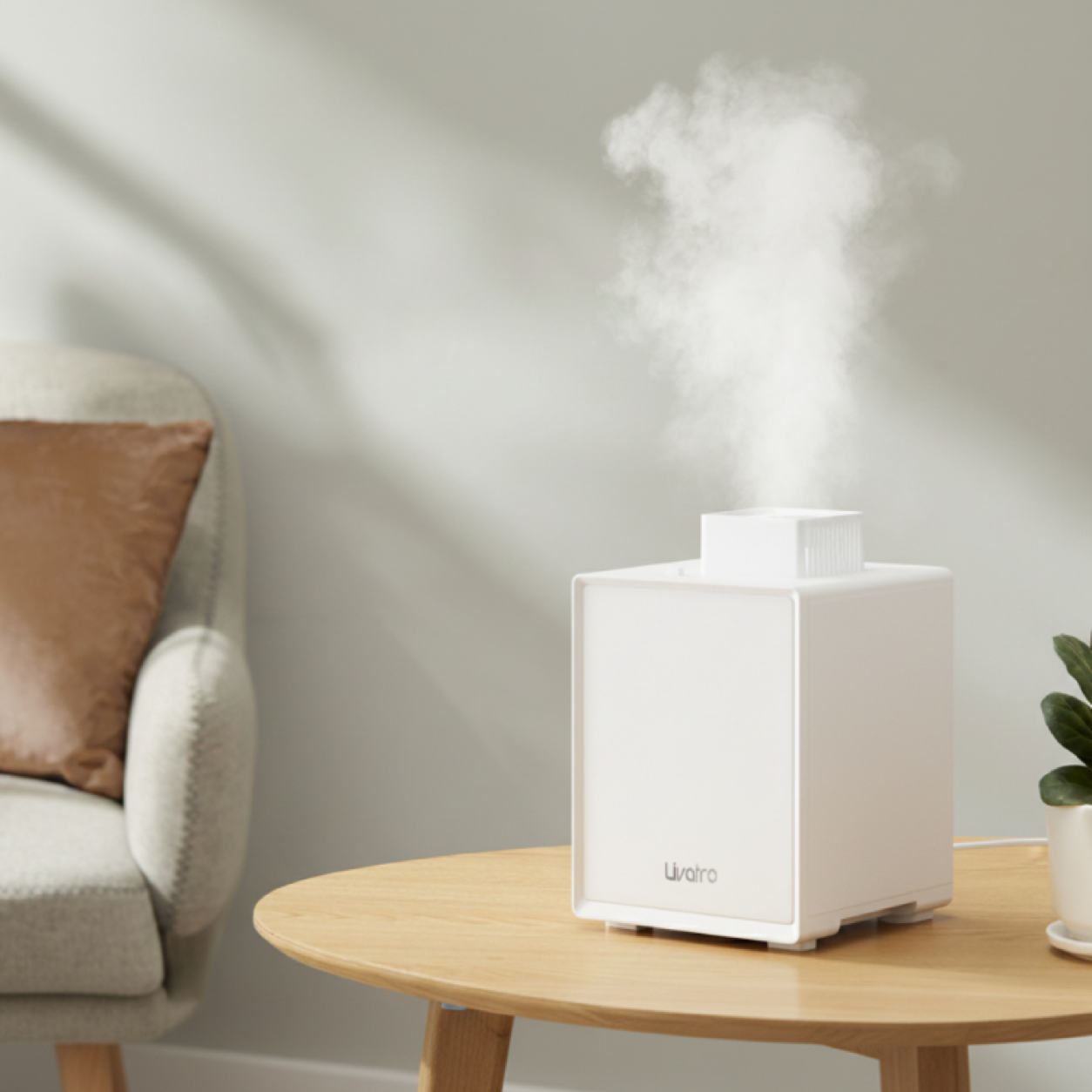 Browse Home & Living