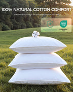 Faunna Cotton Zippered Pillow Protectors – 2 Pack – King, view 5